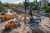 thumbnail-image-13422287