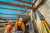 thumbnail-image-22005526