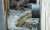 thumbnail-image-27288765