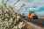 thumbnail-image-27400404
