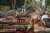 thumbnail-image-35090938