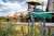 thumbnail-image-40964489