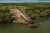 thumbnail-image-52757290