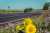 thumbnail-image-58695304